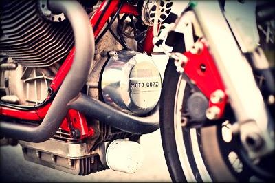 Fred's GT1000