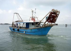 Pesca-turismo nella Laguna sud di Venezia