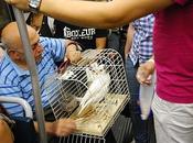 Frammenti milanesi/24 C'era volta pappagallo prendeva tram