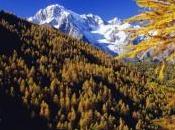 Valle d’Aosta: eventi sagre Ottobre miele castagne mele