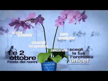 0 Orchidea Unicef 2011: 1 e 2 Ottobre per la festa dei Nonni