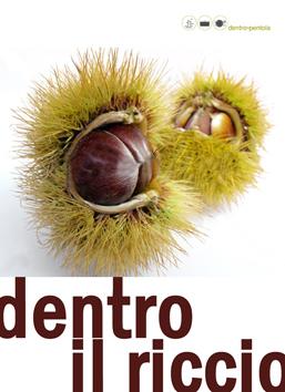 DENTRO IL RICCIO...il primo contest di dentro la pentola