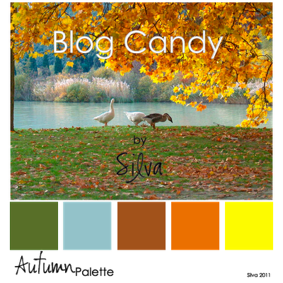 Blog Candy particolare!