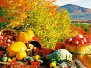 Dieta d’autunno: per ritrovare il peso forma