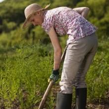 Comune di Maser: le donne non sono idonee alla cura del verde pubblico