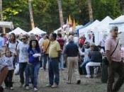 StreetFood Arezzo 2011: merce irregolare alla manifestazione aretina.