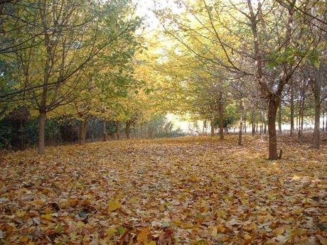 Curiosità sul mese di ottobre