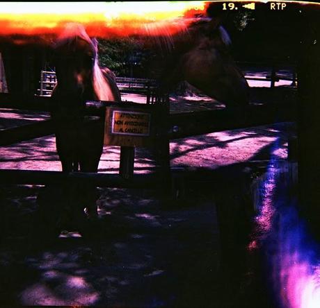 LOMOGRAPHY • Diana F+ e Fuji T64 RTP (parte 1)