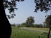 domenica inizio autunno campagna