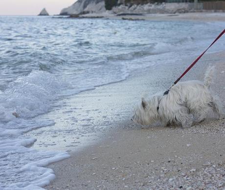 Summer on a solitary beach