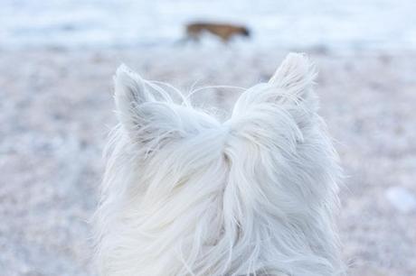 Summer on a solitary beach