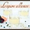 Liquore all'anice e finocchio