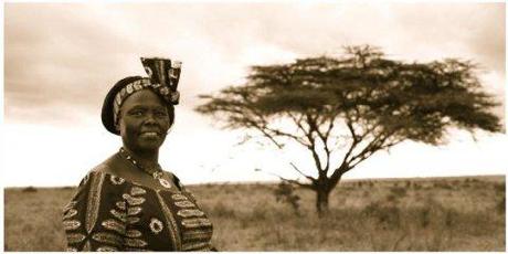 omaggio a Wangari Maathai