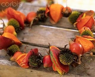 Physalis alkekengi _lanterne cinesi