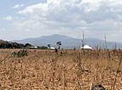 Siccità caldo record: così tremano agricoltori