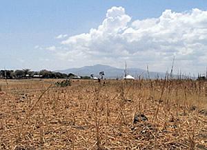 siccita caldo campo agricoltura deserto