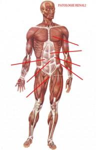 Test di Patologia e fisiopatologia generale