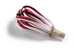 Radicchio rosso di Treviso IGP