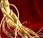 Omeopatia fitoterapia Ginseng stanchezza
