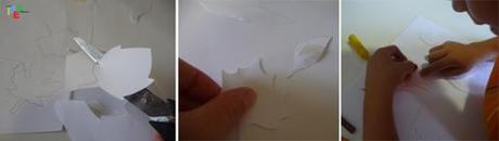 FOGLIE CON EFFETTO FANTACOLOR