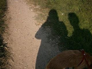 ZAMPETTATA DOMENICALE AL PARCO DEL TICINO