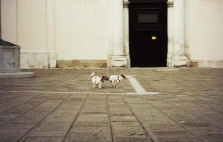 Tra le calli veneziane