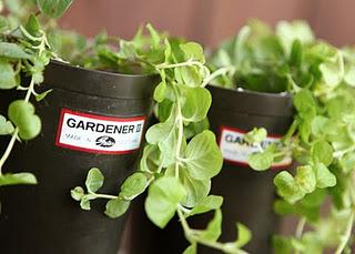 Vecchi stivali neri in gomma... che fare?