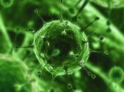 Virus sconosciuti abbondano nelle fognature