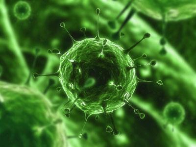 Virus sconosciuti fognature