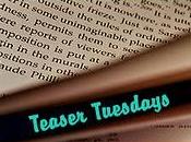 Teaser Tuesdays (40)