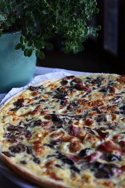 Quiche speack, funghi, caciotta e panna    Speak, mushrooms pie