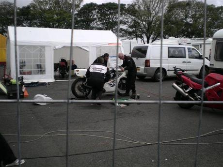 Paddock Manx