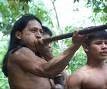 Brasile: indio Guarani: ucciso e abbandonato dagli uomini armati al soldo degli allevatori