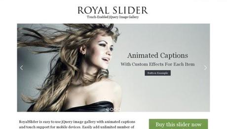 royal-slider-olugin-jquery