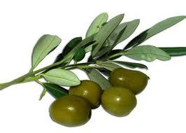 Olive ascolane del piceno