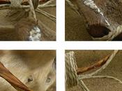 Onda legno corda…