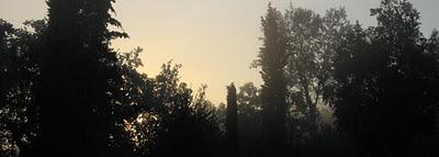 prime nebbie d'autunno