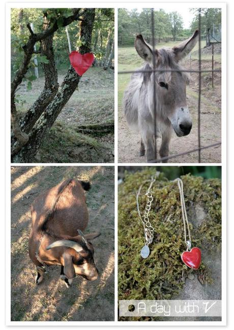 Qualche foto prima del matrimonio.