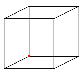 Il cubo di Necker. Dove si trova il punto rosso?