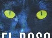 bosco Chiara Palazzolo