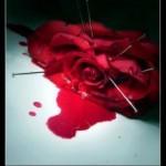 Provincia di Cosenza: investe una donna massacrandola