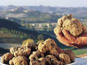 Concorso enogastronomico degustazione piatti base tartufo Miniato. ottobre