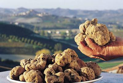 Concorso enogastronomico con degustazione di piatti a base di tartufo a San Miniato. Il 16 ottobre