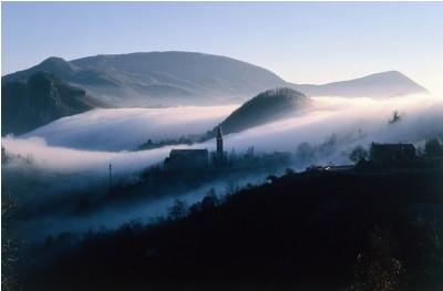 Moscato - Vino dei Colli Euganei