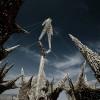 Burning Man Festival