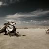 Burning Man Festival