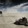 Burning Man Festival