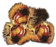 Castagne