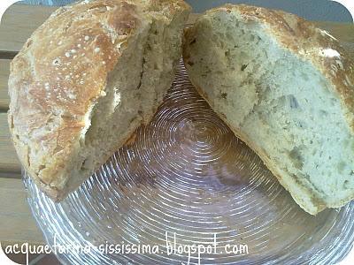 ...panificazione...la mia! E 6° World Bread Day...non potete mancare!...