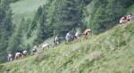 skyrunning,bikestreme,sport,corsa,montagna,newspower,mariofacchini